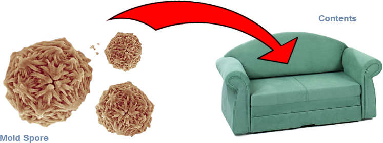 mold_couch mold_couch